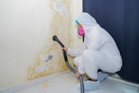 Best Basement Mold Removal  in Vian, OK